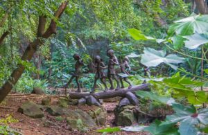 na aina kai botanical