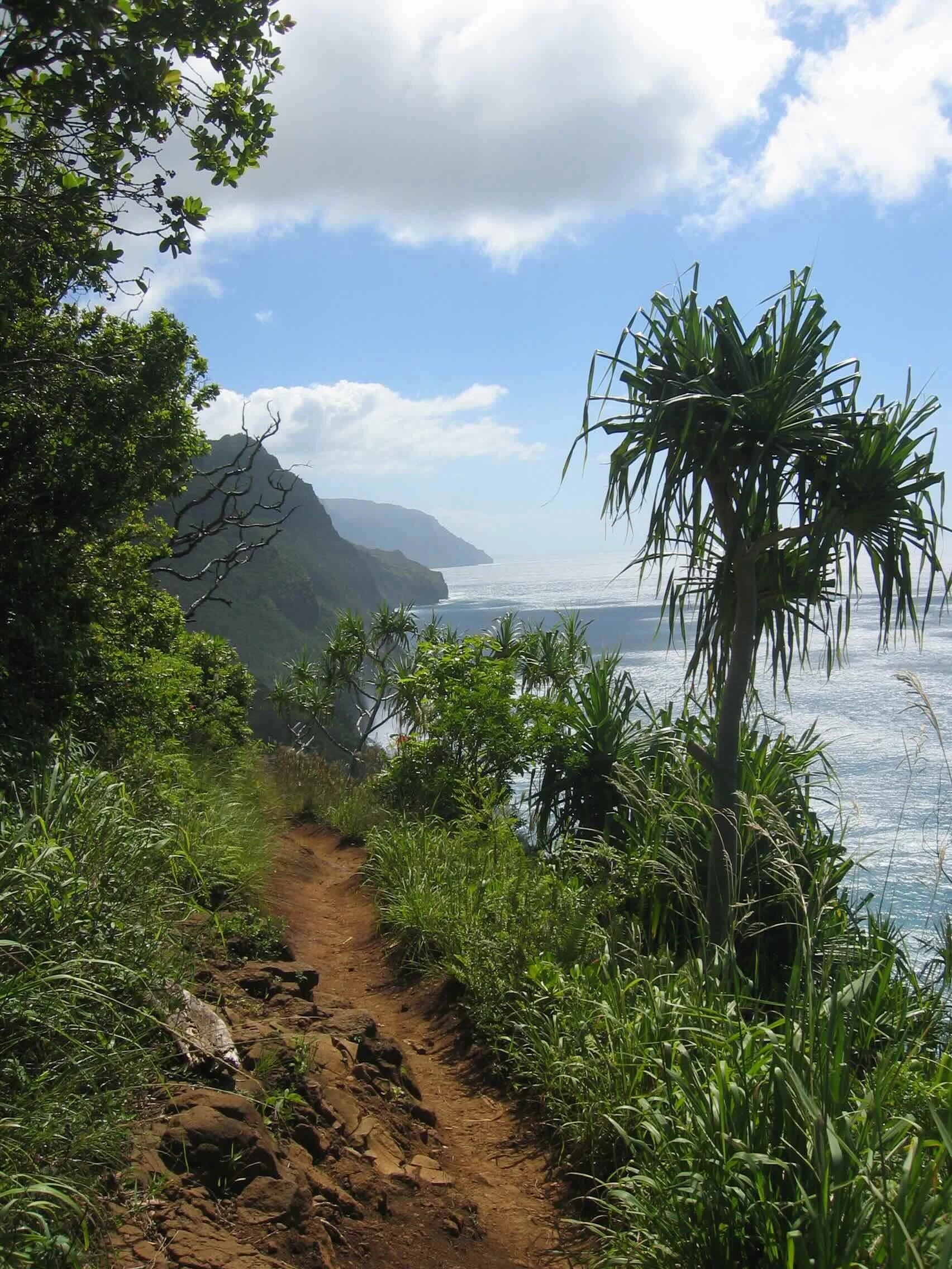 Some 20 awesome Kauai North Shore Hiking Trails available