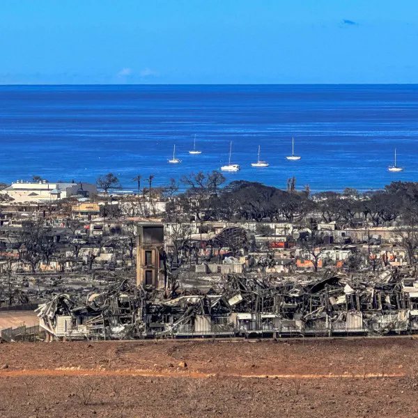 Maui fire recovery great story courtesy Real Estate News