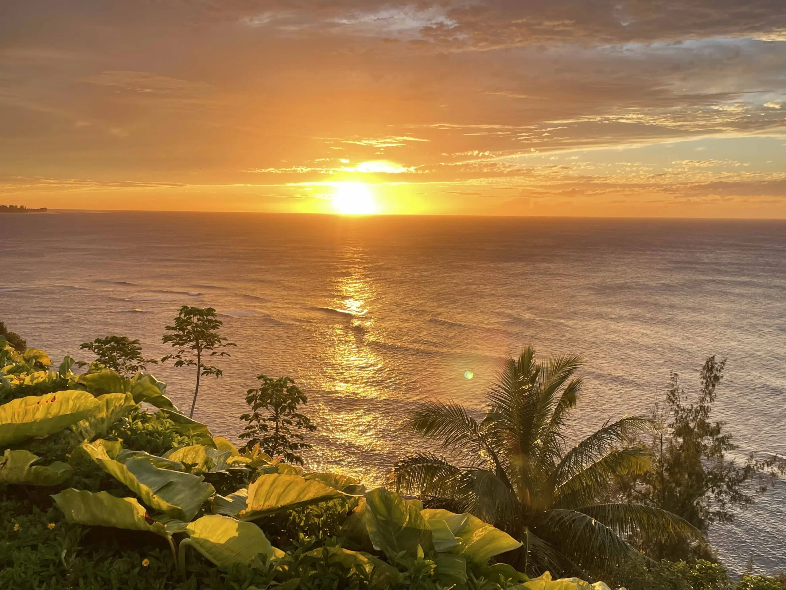 Best Time To Visit Princeville Hawaii