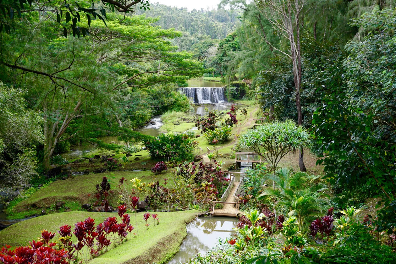 Kauai weather