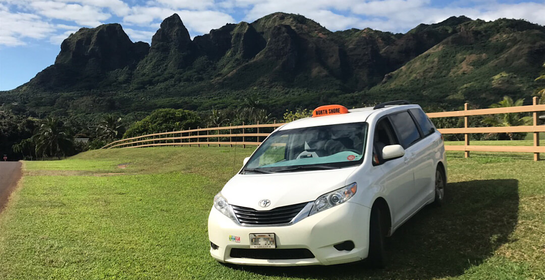 White taxi van on grassy field, mountains behind.